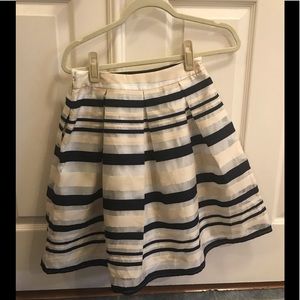 Navy Stripes Mesh Skater Skirt